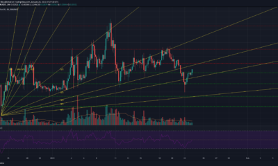 Tron, Waves, Dogecoin 가격 분석 : 1 월 23 일