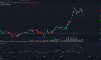 Cardano, Crypto.com Coin, Cosmos 가격 분석 : 1 월 11 일