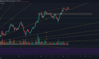 Chainlink, Monero, Ethereum Classic 가격 분석 : 1 월 25 일