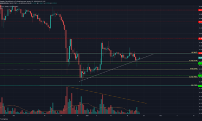 XRP 가격 분석 : 1 월 23 일