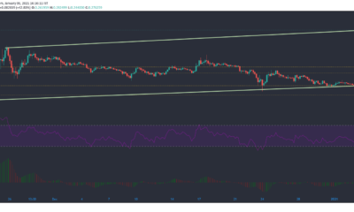 Stellar Lumens, Synthetix, Loopring 가격 분석 : 1 월 6 일