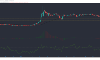 Stellar Lumens, Cosmos, Zcash 가격 분석 : 1 월 23 일