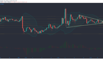 Monero, Ethereum Classic, Dogecoin 가격 분석 : 1 월 19 일