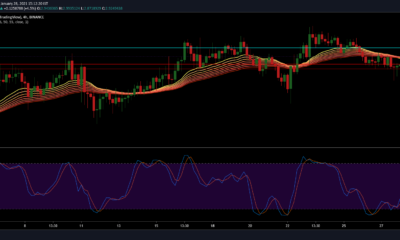 Tezos, BAT, Decred Price Analysis : 1 월 28 일