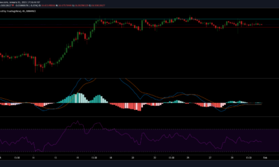 Polkadot, Monero, Basic Attention 토큰 가격 분석 : 1 월 31 일