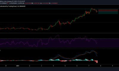 Cardano 가격 분석 : 1 월 7 일