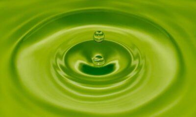 Ripple, SBI 자회사 Money Tap에 대한 투자 완료