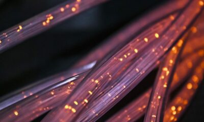 Ripple CTO : 법률이 나쁘다는 것이 아니라 모호하다는 것입니다.