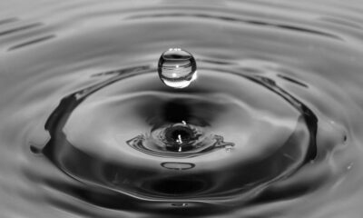 변호사에 따르면 SEC에 대한 Ripple의 대응에는 장점이 있습니다.