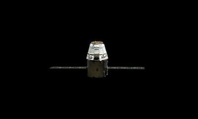 'Tesla와 SpaceX가 대차 대조표에 비트 코인을 추가하는 것은 이제 불가피합니다'