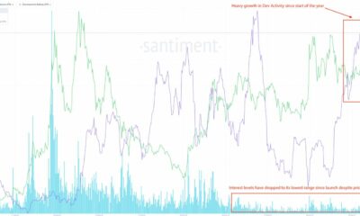 YFI와 같은 DeFi 토큰에서 더 많은 성장을 기대할 수 있습니까?