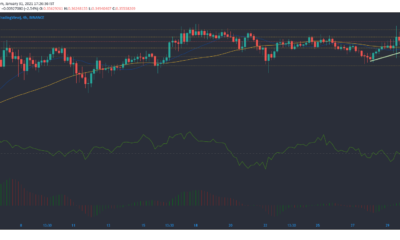 Cardano, Cosmos, Dogecoin 가격 분석 : 1 월 31 일