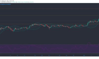 Cardano, Tezos, Dogecoin 가격 분석 : 2 월 7 일