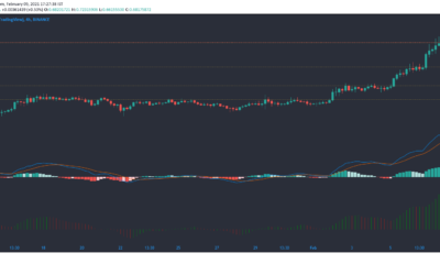 Cardano, Neo, Dogecoin 가격 분석 : 2 월 9 일