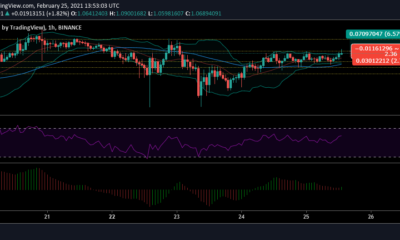 Cardano 가격 분석 : 2 월 25 일
