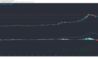 Binance Coin, Waves, Crypto.com 가격 분석 : 2 월 9 일