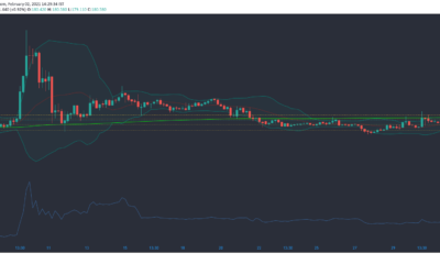 Bitcoin SV, Basic Attention Token, Zcash 가격 분석 : 2 월 2 일