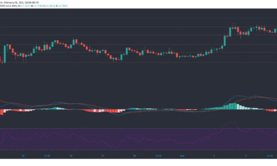 Polkadot, Uniswap, Ethereum Classic 가격 분석 : 2 월 8 일