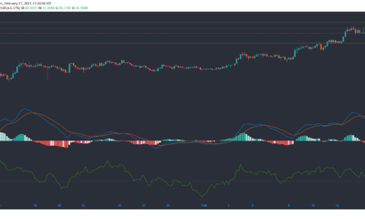 Polkadot, Basic Attention Token, IOTA 가격 분석 : 2 월 17 일