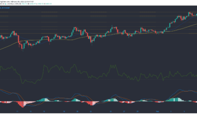 Ethereum, Synthetix, 복합 가격 분석 : 2 월 8 일