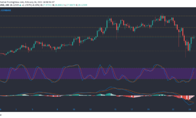 Chainlink, Cosmos, Enjin 가격 분석 : 2 월 24 일