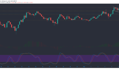 Chainlink, Cosmos, Zcash 가격 분석 : 2 월 7 일