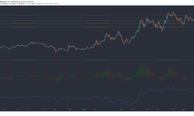 Chainlink, STEEM, 메이커 가격 분석 : 2 월 2 일