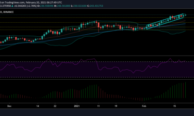 Litecoin 가격 분석 : 2 월 20 일