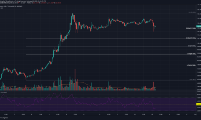 Binance Coin, Cosmos, Synthetix 가격 분석 : 2 월 15 일