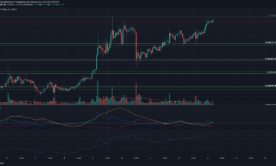 비트 코인 SV, NEM, 버지 가격 분석 : 2 월 13 일