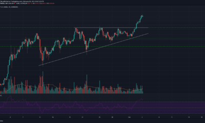Ethereum, Elrond, Dash 가격 분석 : 2 월 4 일