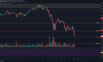 Ethereum, Tezos, Elrond 가격 분석 : 2 월 28 일