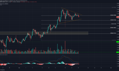 Chainlink, Waves, Nano 가격 분석 : 2 월 19 일