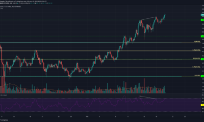Litecoin, EOS, Decred Price Analysis : 2 월 20 일