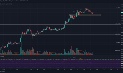 Cardano, Tezos, VeChain 가격 분석 : 2 월 12 일