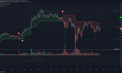 Polkadot, Ethereum Classic, IOST 가격 분석 : 2 월 25 일