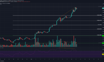 Cardano, Waves, Nano 가격 분석 : 2 월 11 일