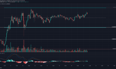 Bitcoin Cash, BitTorrent, DigiByte 가격 분석 : 2 월 20 일