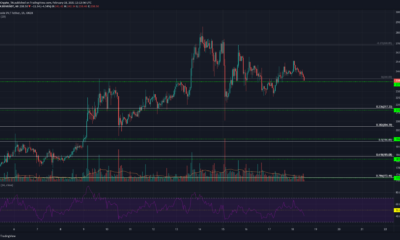Bitcoin SV, Neo, VeChain 가격 분석 : 2 월 18 일