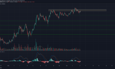 Chainlink, Aave, Elrond 가격 분석 : 2 월 8 일
