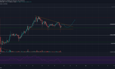 XRP, Algorand, Zcash 가격 분석 : 2 월 21 일