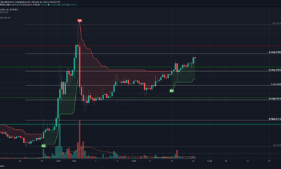 XRP, Cosmos, Dogecoin 가격 분석 : 2 월 12 일