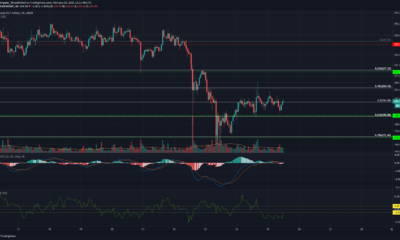Bitcoin SV, Uniswap, Dogecoin 가격 분석 : 2 월 25 일