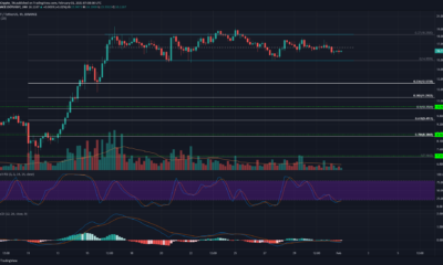Polkadot, Synthetix, VeChain 가격 분석 : 2 월 1 일