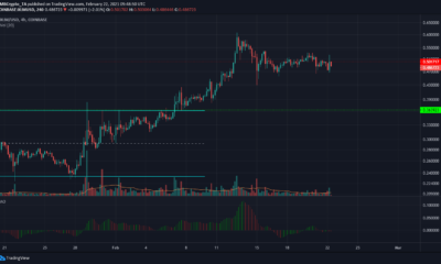 Stellar Lumens, Synthetix, Decred Price Analysis : 2 월 22 일