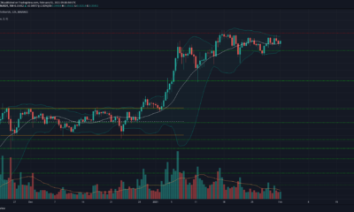 Cardano, SushiSwap, IOTA 가격 분석 : 2 월 1 일