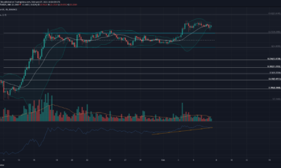 Polkadot, IOTA, Crypto.com 코인 가격 분석 : 2 월 7 일