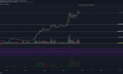 Cardano 가격 분석 : 2 월 7 일