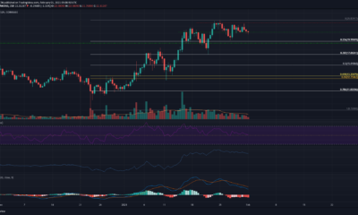 Chainlink 가격 분석 : 2 월 1 일