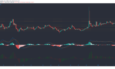 Tron, NEM, Aave 가격 분석 : 2 월 6 일